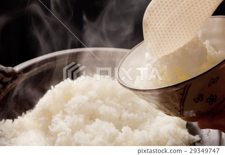Other cooked rice 29349747