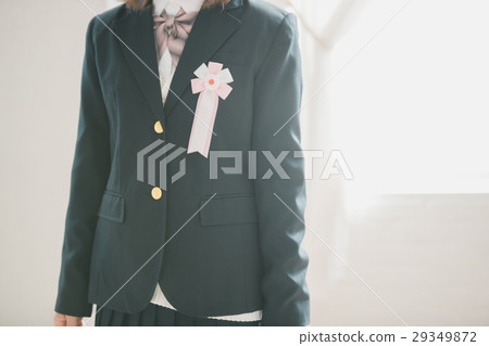 high school student, high-school student, high school girl 29349872