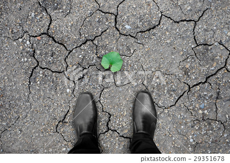 Black shoes and hope for environment 29351678