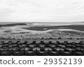 海洋B＆W 29352139