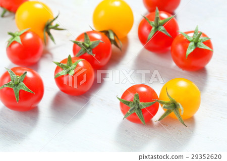 Mini Petit Tomato 29352620