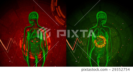 3d rendering medical illustration of the adrenal 29352754