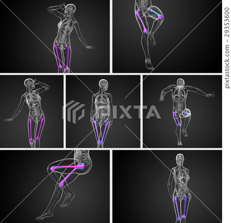 3d rendering medical illustration of femur bone 3d rendering medical illustration of femur bone 29353600