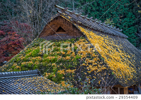Old traditional Japanese house at Korankei village 29354409