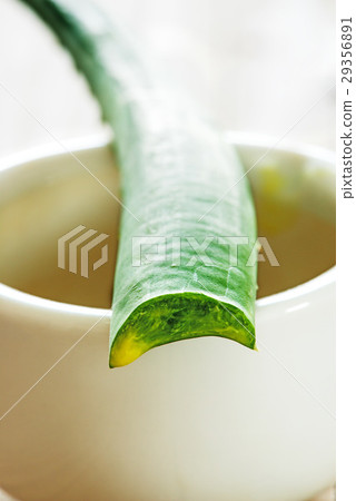 Aloe vera fresh leaf with mortar Aloe vera fresh leaf with mortar 29356891