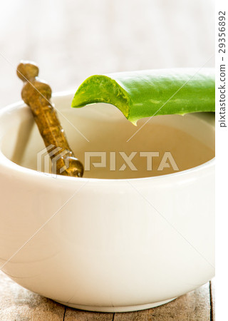 Aloe vera fresh leaf with mortar Aloe vera fresh leaf with mortar 29356892