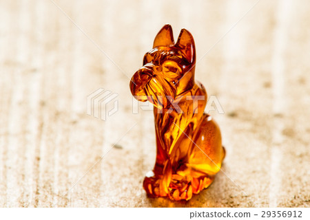 Amber dog, closeup Amber dog, closeup 29356912