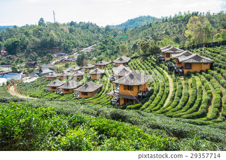 Viewpoint resort earth house in tea plantation 29357714