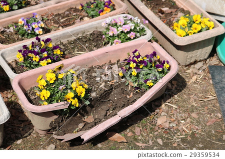 一場車禍 29359534