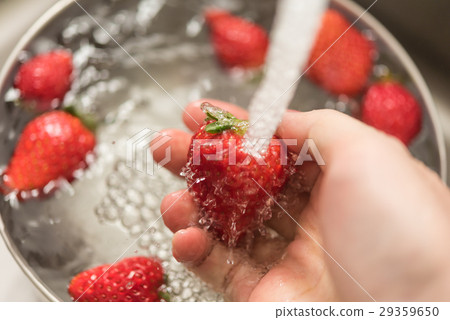 我洗草莓 我洗草莓 29359650