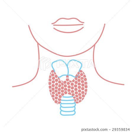 Icon of thyroid structure 29359834