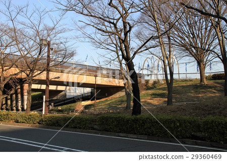 Kwakaiga Park Gemogo Bridge 29360469