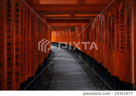 Red Tori Gate at Fushimi Inari Shrine in Kyoto Red Tori Gate at Fushimi Inari Shrine in Kyoto 29361677