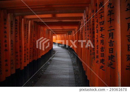 Red Tori Gate at Fushimi Inari Shrine in Kyoto Red Tori Gate at Fushimi Inari Shrine in Kyoto 29361678