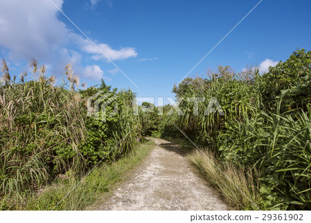 Okinawa sightseeing Kutakajima Kami no Island Sacred Island Okinawa sightseeing Kutakajima Kami no Island Sacred Island 29361902