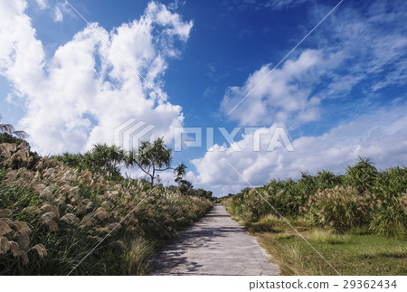 沖繩觀光Kutakajima Kami no島神聖島 29362434