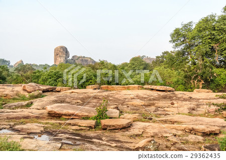 Landscape Yala National Park, Sri Lanka 29362435