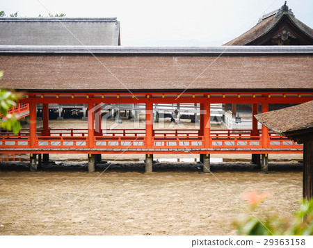 Hiroshima prefecture Hatsukaichi city Miyajima Itsukushima Shinto shrine Hiroshima prefecture Hatsukaichi city Miyajima Itsukushima Shinto shrine 29363158