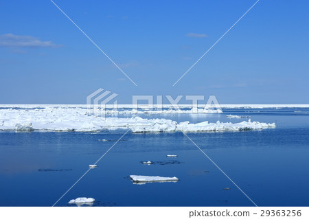 在鄂霍次克海漂流冰 29363256
