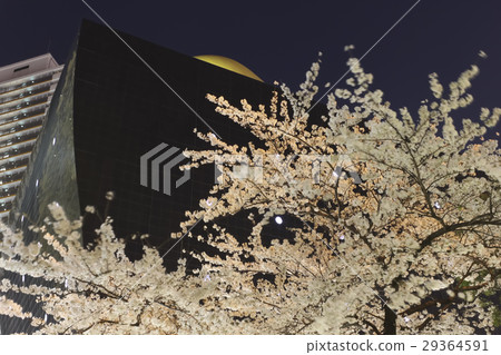 Tokyo · Asakusa Super dry hole and cherry trees at evening 29364591