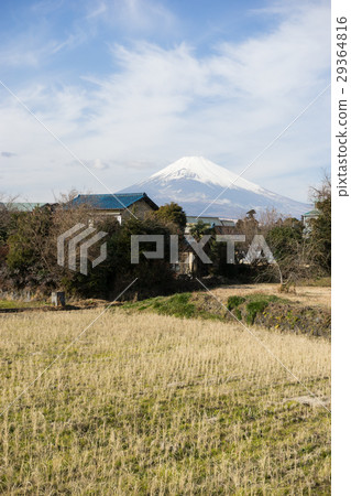 Country landscape of Susono-shi and Mt. Fuji 29364816