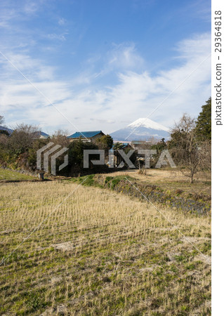 Country landscape of Susono-shi and Mt. Fuji 29364818