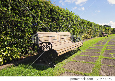 Bench on the park 29364869
