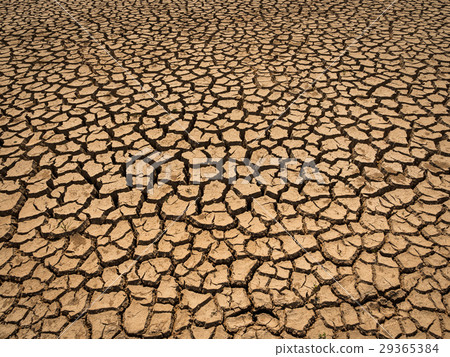 dried and cracked soil in arid season. 29365384