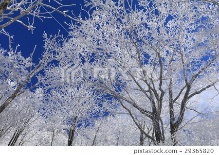 Road to Iku Meihinpei Road to Iku Meihinpei 29365820