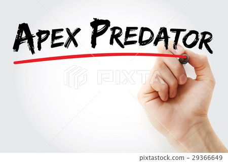 Hand writing Apex predator with marker Hand writing Apex predator with marker 29366649