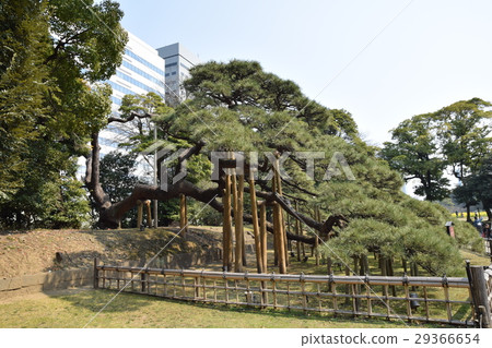 Hamarikyu Hamarikyu 29366654