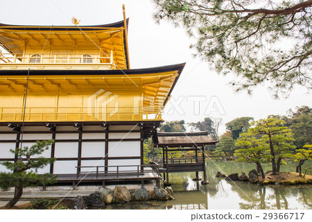 Kinkaku-kakenenji在早春 29366717