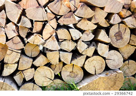 Stack of brown wooden log background 29366742