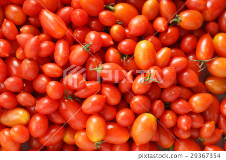Fresh tomatoes. Fresh tomatoes. 29367354