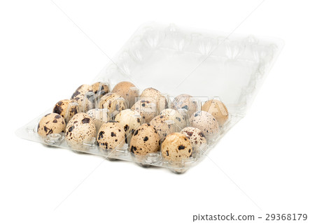 Quail eggs in the container Quail eggs in the container 29368179