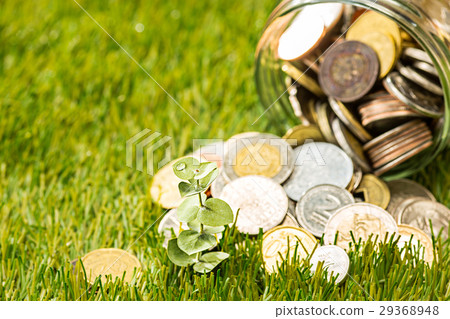 Plant growing in Coins glass jar for money on Plant growing in Coins glass jar for money on 29368948