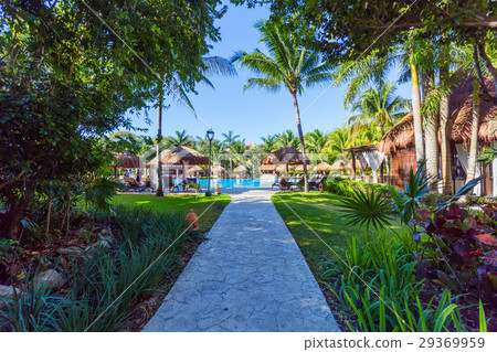 Beautiful Xcaret Park. Cancun, Mexico Beautiful Xcaret Park. Cancun, Mexico 29369959
