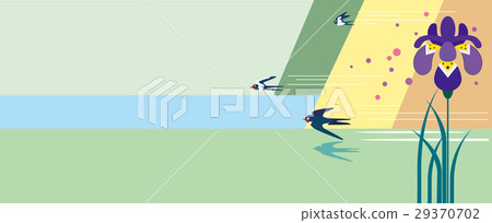 燕子和虹膜 29370702