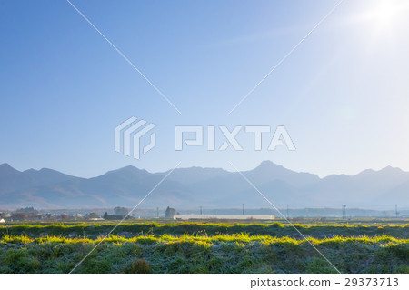 清晨Yatsugatake山 29373713
