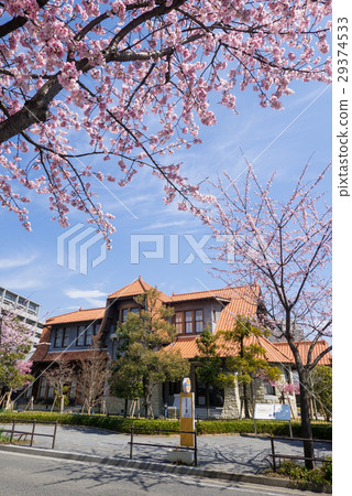 Urban landscape of Nagoya · Townscape conservation area culture Michiba Kan Kawakami Sadayo House and Okari Cherry Blossoms Urban landscape of Nagoya · Townscape conservation area culture Michiba Kan Kawakami Sadayo House and Okari Cherry Blossoms 29374533
