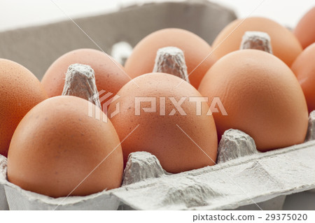 雞蛋，盒裝雞蛋，水洗雞蛋，卵、箱入り卵、洗浄卵，Eggs, boxed eggs 29375020