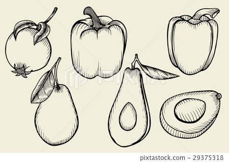 set fruits and vegetables 29375318