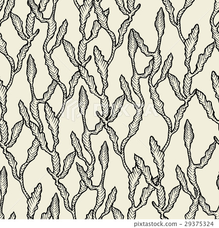 Seaweed on a beige background. Seaweed on a beige background. 29375324