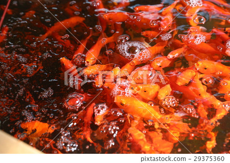 金魚 金魚 29375360