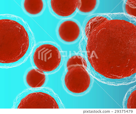 Detailed 3d illustration of round membrane cells 29375479