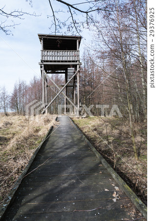 Wooden footbridge to the bird watching tower 29376925