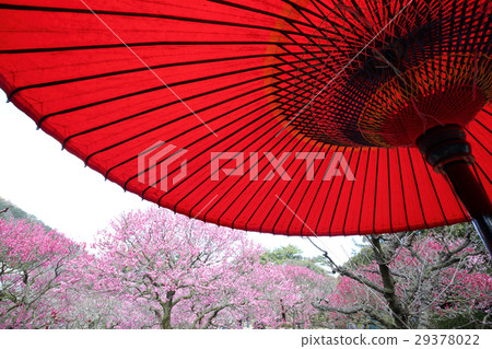 red umbrella red umbrella 29378022