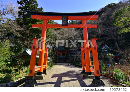 在伊豆松崎的伊那神社的鳥居 29378462