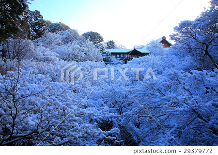 Tofukuji Temple in winter 29379772