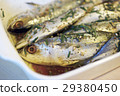 Marinated Mackerels 29380450